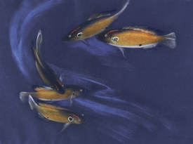 LOT 024 LOT 024