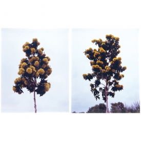 LOT 050 LOT 050