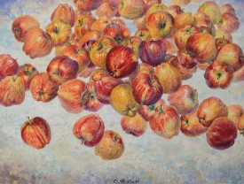LOT 053 LOT 053