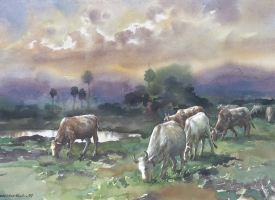 LOT 054 LOT 054