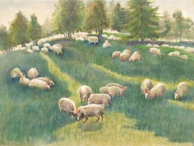 LOT 055 LOT 055