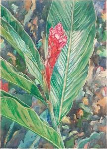 LOT 158